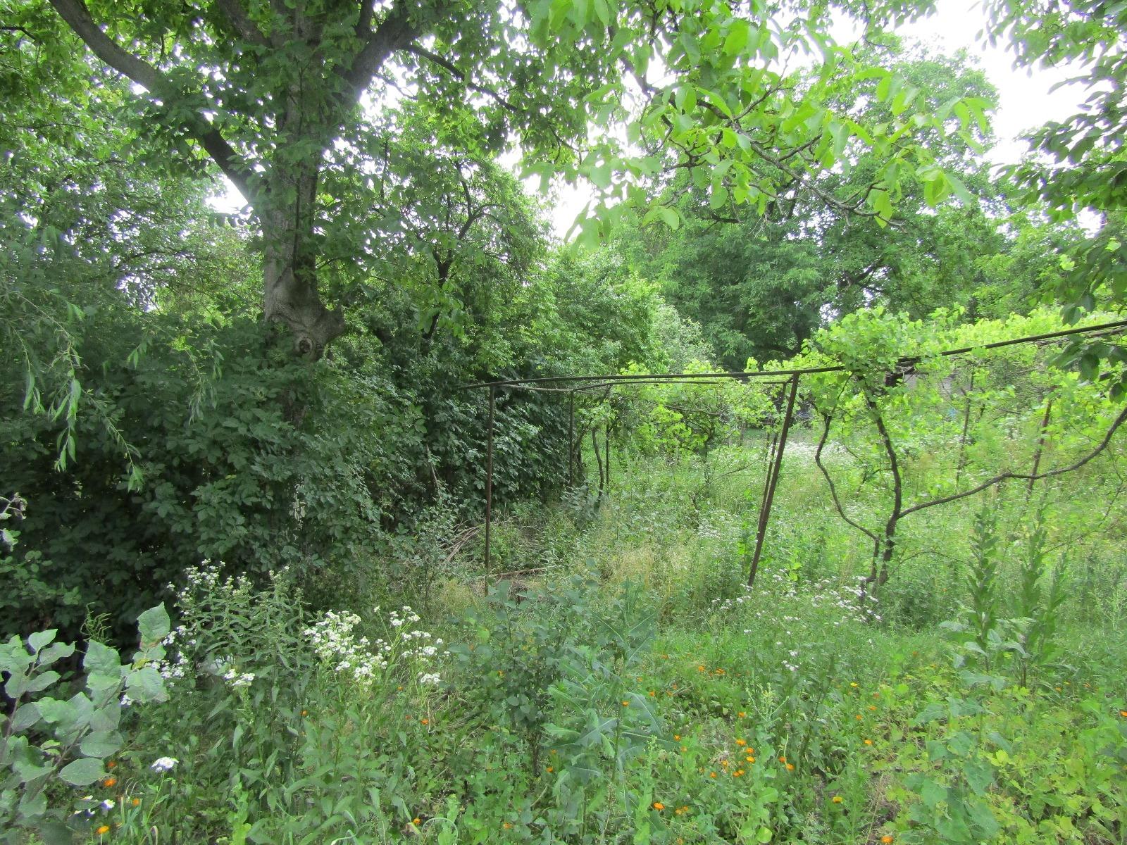 Casa de vânzare 2 camere Dambul Rotund - 26497CV | BLITZ Cluj-Napoca | Poza4