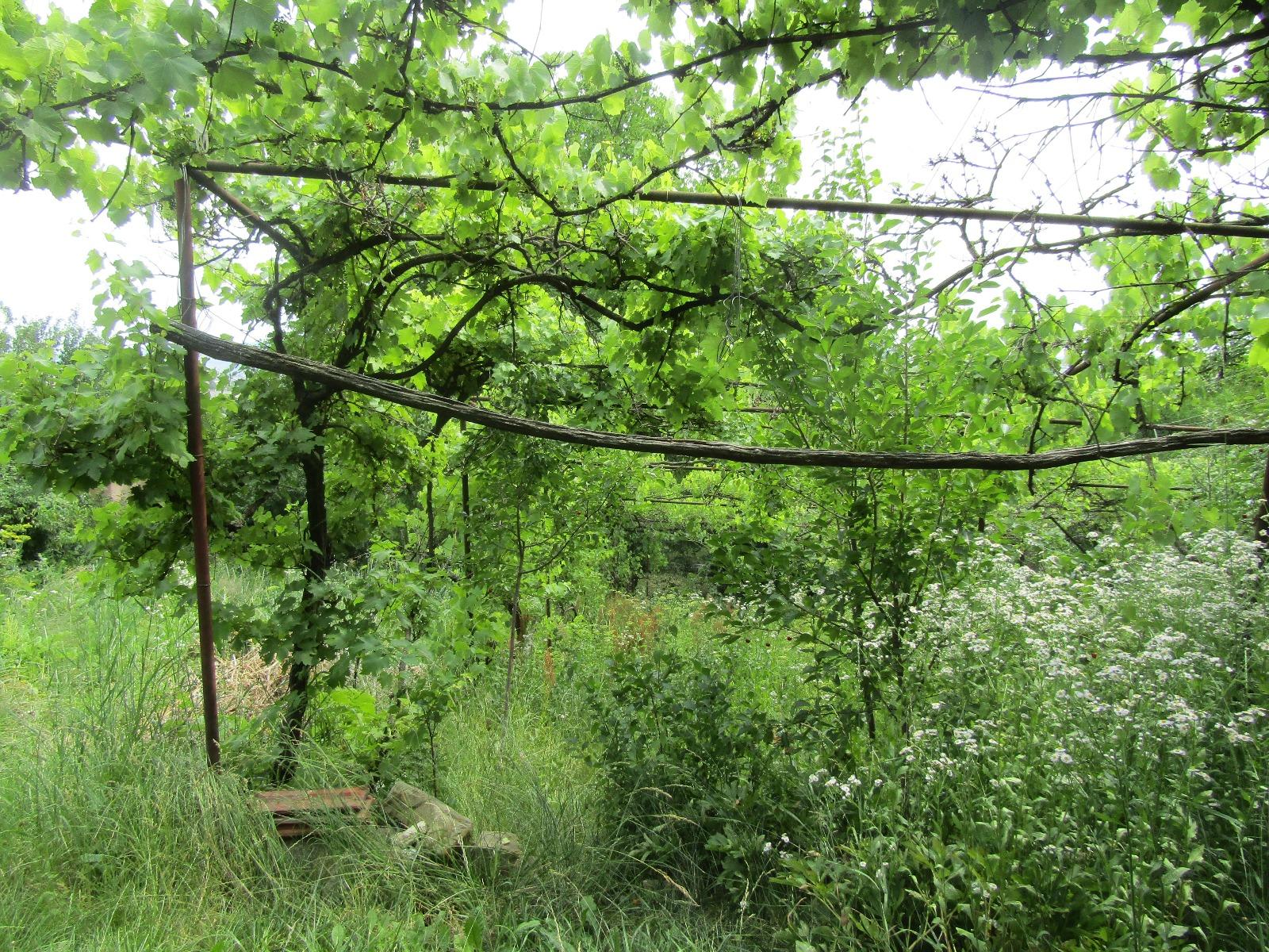 Casa de vânzare 2 camere Dambul Rotund - 26497CV | BLITZ Cluj-Napoca | Poza6