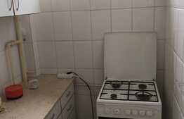 Garsoniera de vanzare, 28 mp, etaj intermediar, zona Mercur