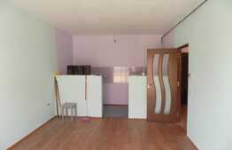 Vanzare apartament cu 2 camere, 44 mp utili, zona strazii Porii!