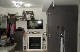 Apartament cochet cu GRADINA, 3 camere, parcare! Zona strazii Stejarului!