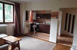 Apartament de inchiriat cu 2 camere, 50 mp, mobilat modern, zona Iulius Mall