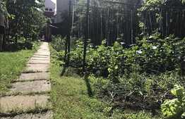 Casa individuala, 350 mp utili, teren de 670 mp, zona linistita