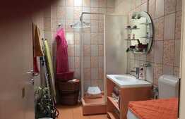 Casa individuala, 350 mp utili, teren de 670 mp, zona linistita