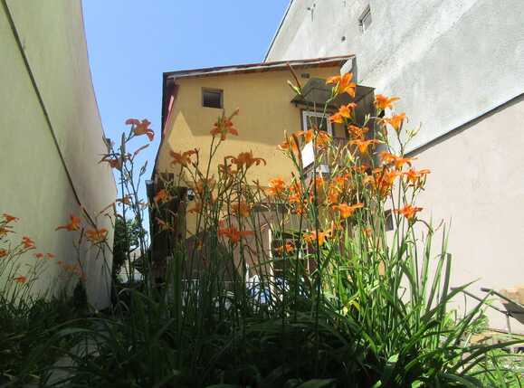 Casa de vânzare 3 camere Semicentral - 26543CV | BLITZ Cluj-Napoca | Poza5