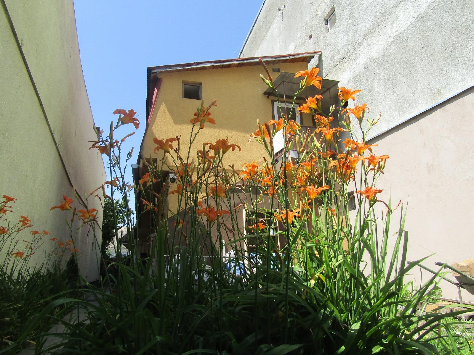 Casa de vânzare 3 camere Semicentral - 26543CV | BLITZ Cluj-Napoca | Poza5