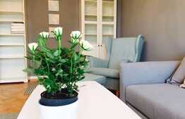 Apartament 3 camere, decomandat, 75 mp, prima inchiriere, zona Piata Cipariu