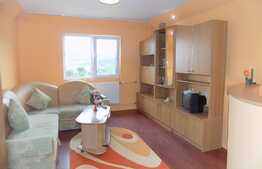 Garsoniera de inchiriat, 22 mp, recent renovata, zona Bulevardul Muncii