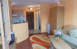 Garsoniera de inchiriat, 22 mp, recent renovata, zona Bulevardul Muncii