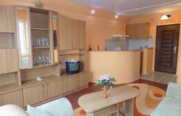 Garsoniera de inchiriat, 22 mp, recent renovata, zona Bulevardul Muncii