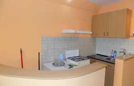 Garsoniera de inchiriat, 22 mp, recent renovata, zona Bulevardul Muncii