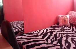 Garsoniera 28 mp, decomandata, etaj intermediar, zona Expo Transilvania