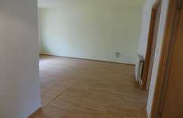 Apartament de vanzare cu 3 camere, 62 mp! Parcare! Zona strazii Tineretului! 