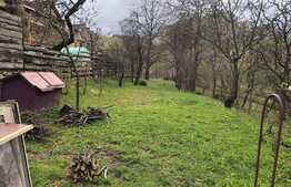 Casa cu suprafata de  38 mp, teren de 560 mp, front 12ml