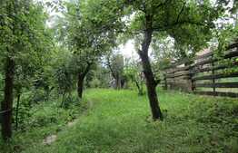 Casa cu suprafata de  38 mp, teren de 560 mp, front 12ml