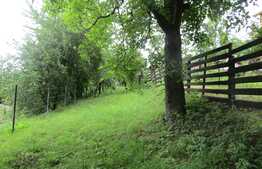 Casa cu suprafata de  38 mp, teren de 560 mp, front 12ml