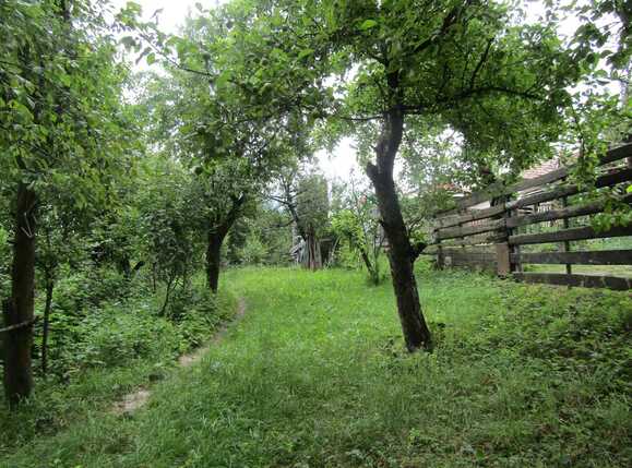 Casa de vânzare 1 camera Bună Ziua - 26619CV | BLITZ Cluj-Napoca | Poza4