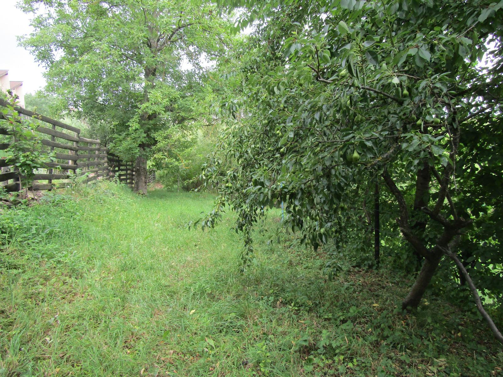 Casa de vânzare 1 camera Bună Ziua - 26619CV | BLITZ Cluj-Napoca | Poza6