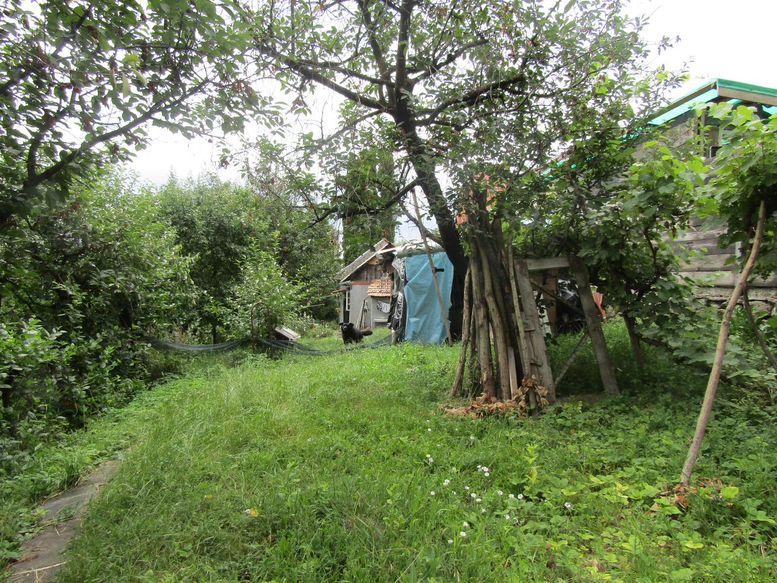 Casa de vânzare 1 camera Bună Ziua - 26619CV | BLITZ Cluj-Napoca | Poza3