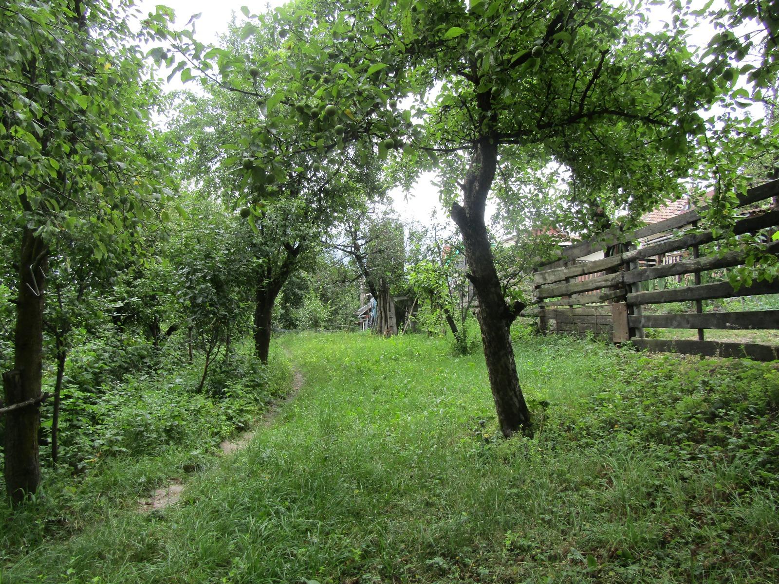 Casa de vânzare 1 camera Bună Ziua - 26619CV | BLITZ Cluj-Napoca | Poza4