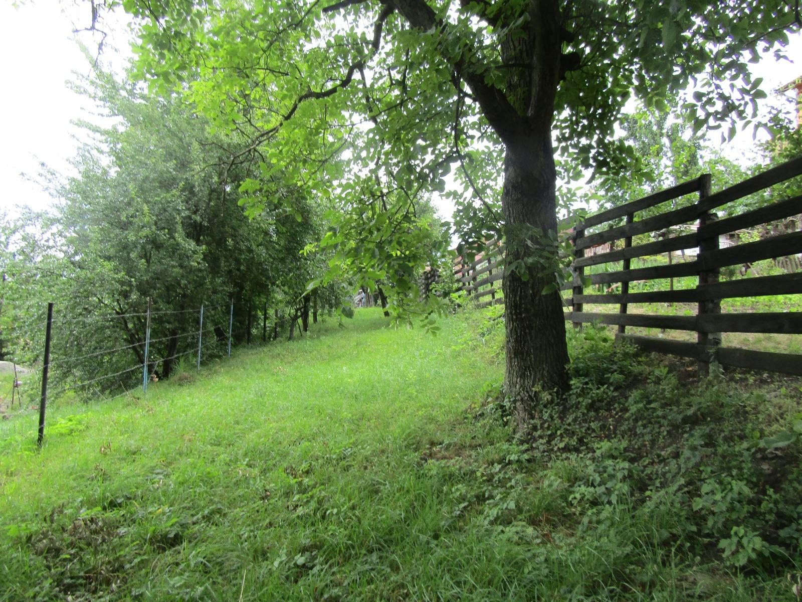 Casa de vânzare 1 camera Bună Ziua - 26619CV | BLITZ Cluj-Napoca | Poza5