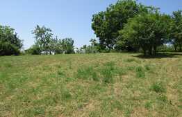 Teren extravilan in Baciu, 2700 mp, front stradal 25 ml, zona linistita de case si vile