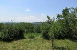 Teren extravilan in Baciu, 2700 mp, front stradal 25 ml, zona linistita de case si vile