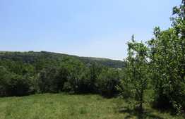 Teren extravilan in Baciu, 2700 mp, front stradal 25 ml, zona linistita de case si vile