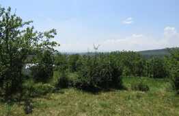 Teren extravilan in Baciu, 2700 mp, front stradal 25 ml, zona linistita de case si vile