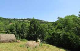 Teren extravilan in Baciu, 2700 mp, front stradal 25 ml, zona linistita de case si vile