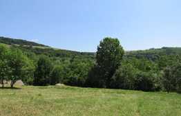 Teren extravilan in Baciu, 2700 mp, front stradal 25 ml, zona linistita de case si vile