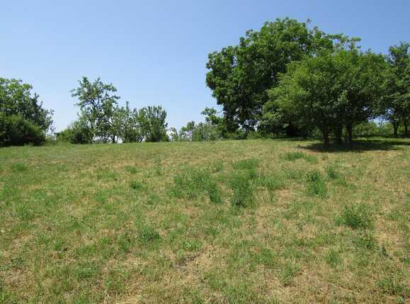 Teren de vânzare Baciu - 26620TV | BLITZ Cluj-Napoca | Poza7