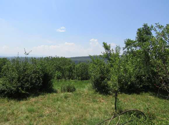 Teren de vânzare Baciu - 26620TV | BLITZ Cluj-Napoca | Poza6