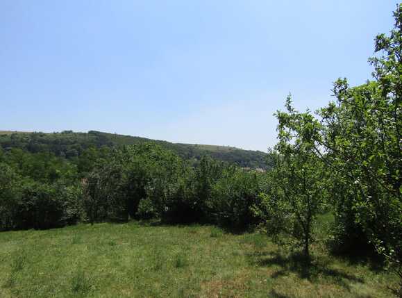 Teren de vânzare Baciu - 26620TV | BLITZ Cluj-Napoca | Poza2