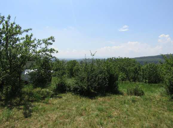 Teren de vânzare Baciu - 26620TV | BLITZ Cluj-Napoca | Poza5