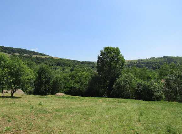 Teren de vânzare Baciu - 26620TV | BLITZ Cluj-Napoca | Poza3