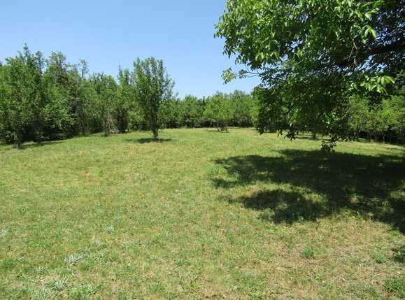 Teren de vânzare Baciu - 26620TV | BLITZ Cluj-Napoca | Poza8