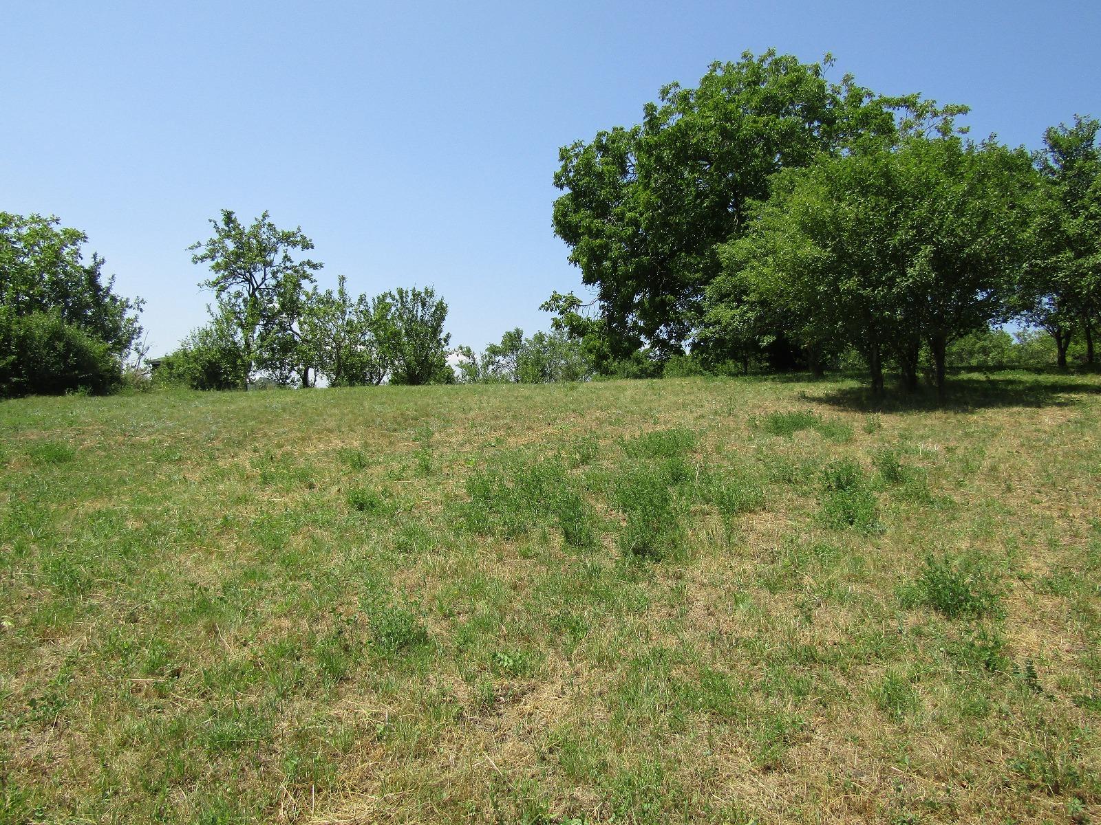 Teren de vânzare Baciu - 26620TV | BLITZ Cluj-Napoca | Poza7