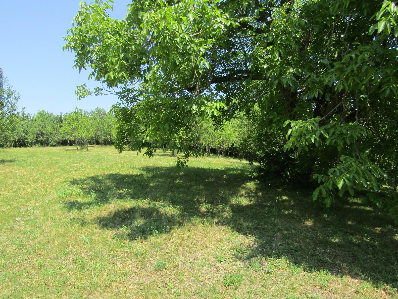 Teren de vânzare Baciu - 26620TV | BLITZ Cluj-Napoca | Poza9