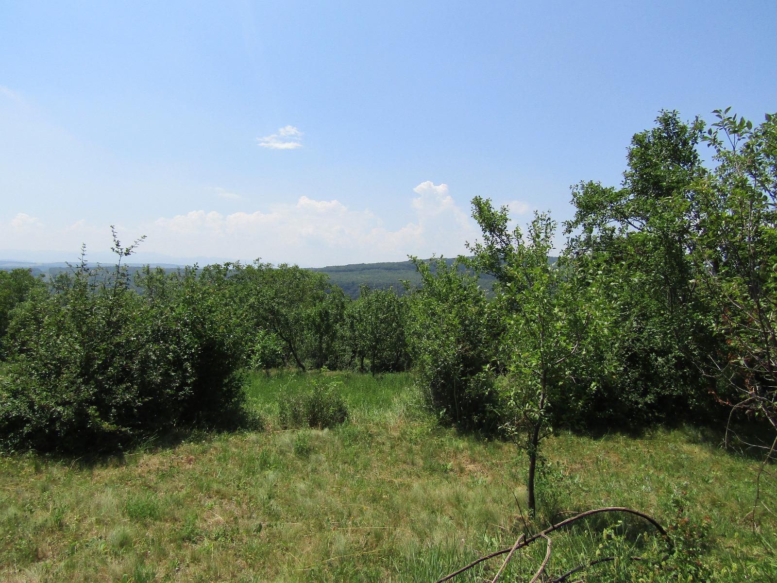 Teren de vânzare Baciu - 26620TV | BLITZ Cluj-Napoca | Poza6