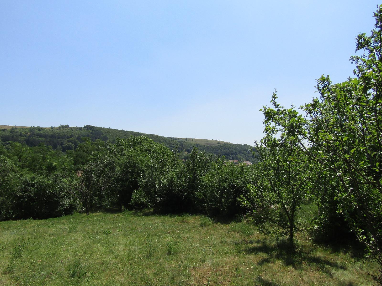 Teren de vânzare Baciu - 26620TV | BLITZ Cluj-Napoca | Poza2