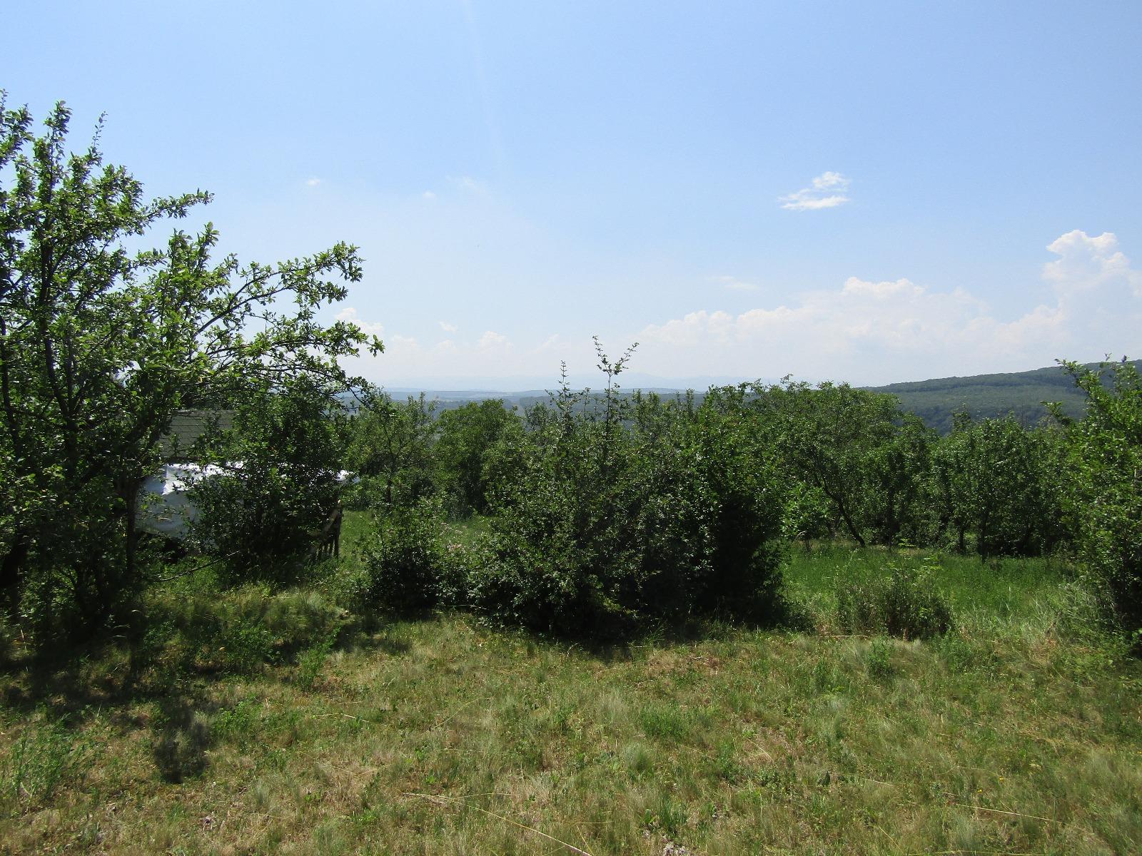 Teren de vânzare Baciu - 26620TV | BLITZ Cluj-Napoca | Poza5