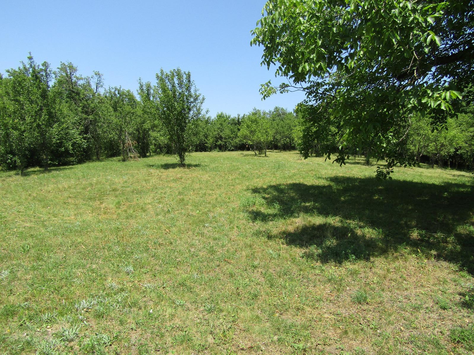 Teren de vânzare Baciu - 26620TV | BLITZ Cluj-Napoca | Poza8