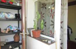 Garsoniera de inchiriat, 26 mp, prima inchiriere, zona Expo Transilvania