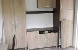 Apartament de inchiriat 2 camere, 30 mp, mobilat modern, zona Politiei Rutiere