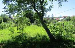 Casa demolabila, 60 mp, teren de 1403 mp, front 14 ml, zona Auchan