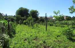 Casa demolabila, 60 mp, teren de 1403 mp, front 14 ml, zona Auchan