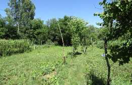 Casa demolabila, 60 mp, teren de 1403 mp, front 14 ml, zona Auchan