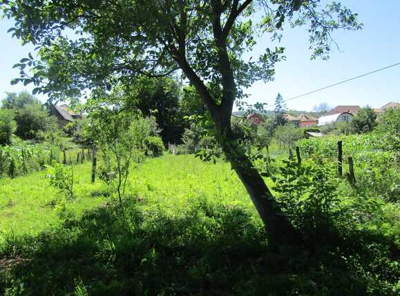 Casa de vânzare 1 camera Iris - 26634CV | BLITZ Cluj-Napoca | Poza2