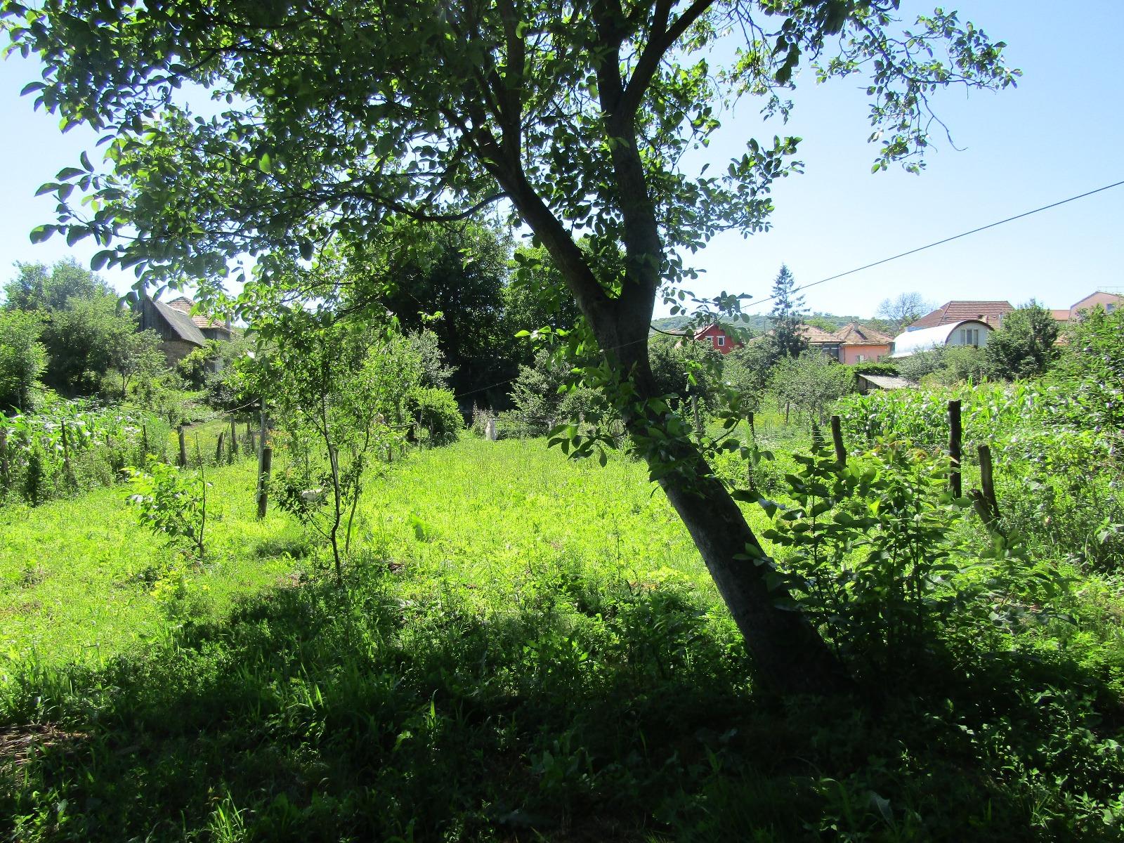 Casa de vânzare 1 camera Iris - 26634CV | BLITZ Cluj-Napoca | Poza2